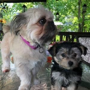 Meet your Posher, Lori